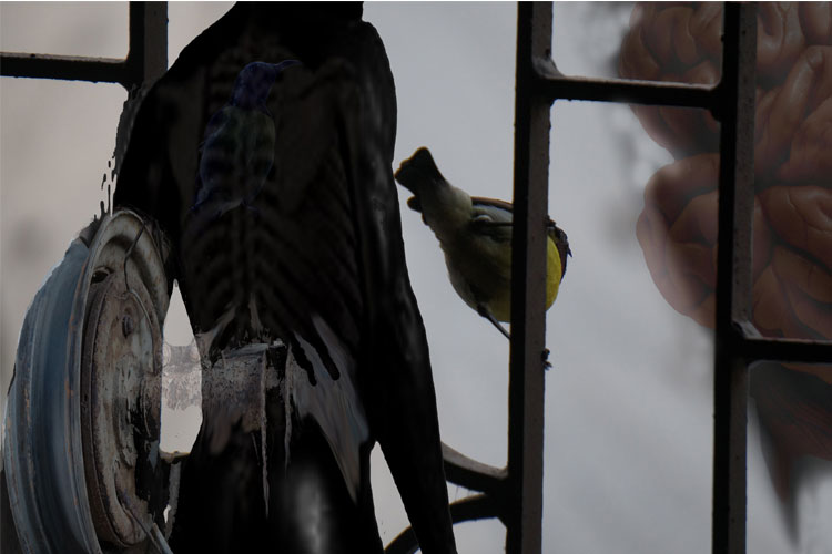 banner title
